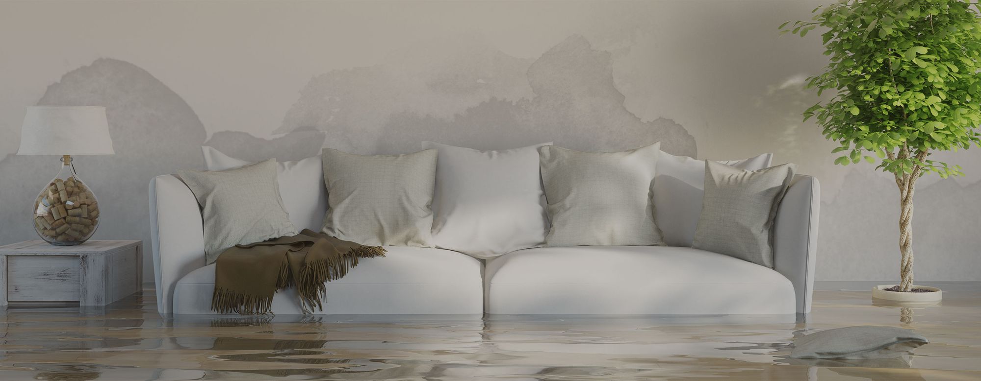 Hellgraues Sofa mit mehreren Kissen und brauner Decke, links ein Beistelltisch mit Lampe, rechts ein großer grüner Baum